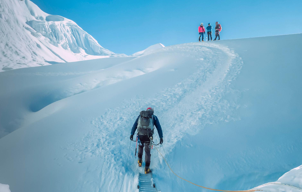 Everest Group of Companies services